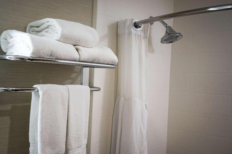 חדר סטנדרט, Best Western Plus Dubuque Hotel And Conference Center