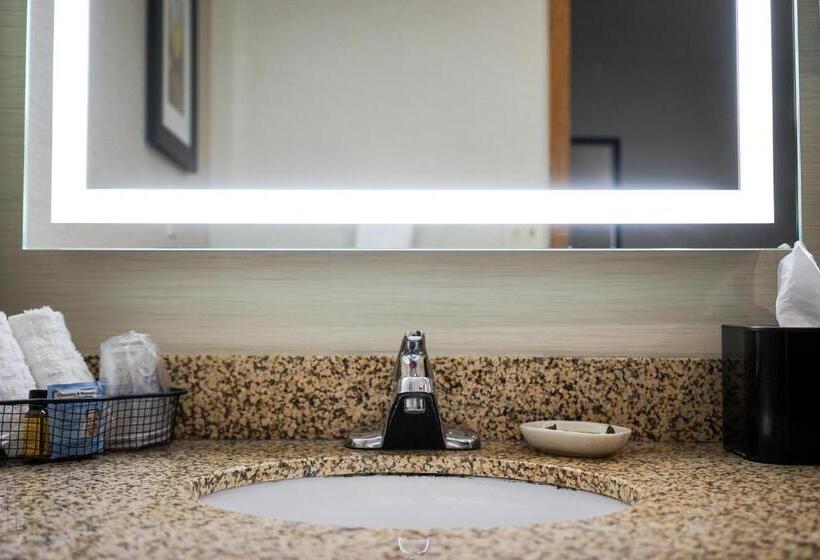 חדר סטנדרט עם מיטת קינג, Best Western Plus Dubuque Hotel And Conference Center