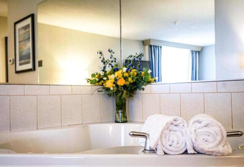 מיטת קינג בסוויטה, Best Western Plus Dubuque Hotel And Conference Center