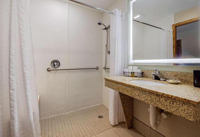 חדר סטנדרט מותאם לאדם עם מוגבלויות, Best Western Plus Dubuque Hotel And Conference Center