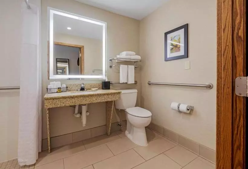 اتاق استاندارد برای معلولان, Best Western Plus Dubuque Hotel And Conference Center