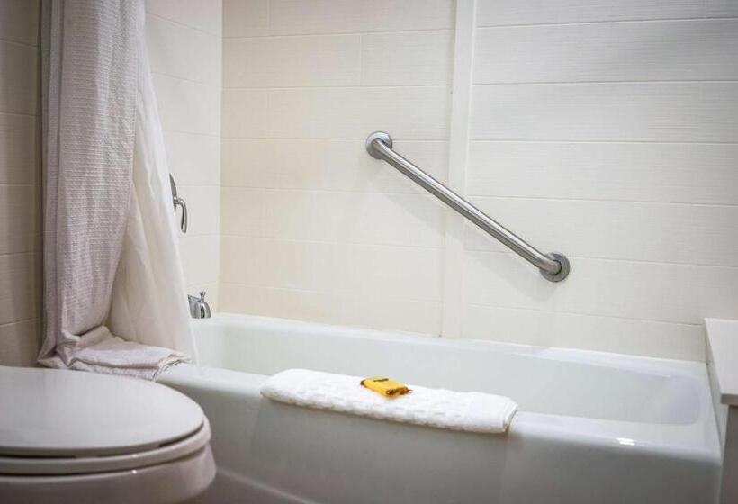 חדר סטנדרט, מיטת קינג, מותאם לאדם עם מוגבלויות, Best Western Plus Dubuque Hotel And Conference Center