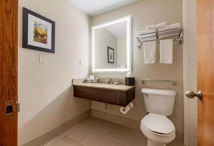 اتاق استاندارد با چشم‌انداز استخر, Best Western Plus Dubuque Hotel And Conference Center