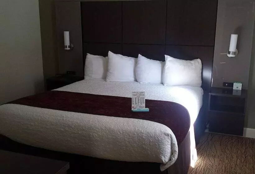 スイート（家族用）, Best Western Pony Soldier Inn & Suites