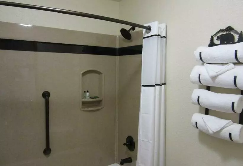 اتاق استاندارد با تخت بزرگ, Crosswinds Inn