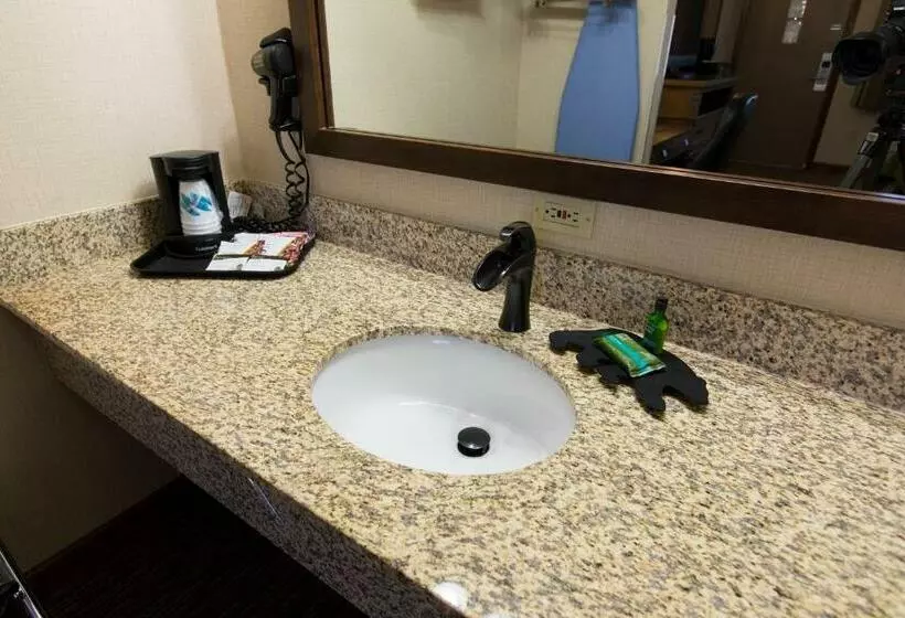 اتاق استاندارد با تخت بزرگ, Crosswinds Inn