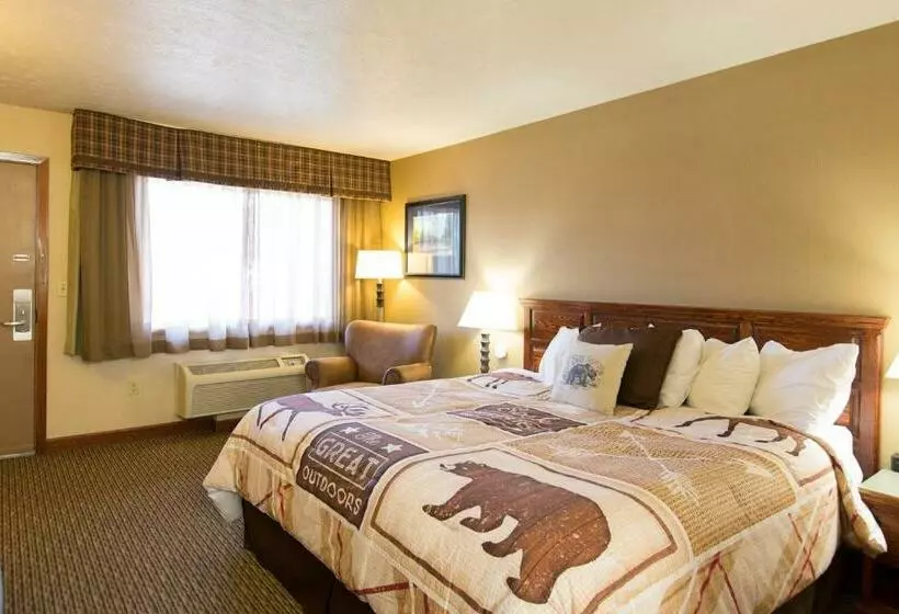 اتاق استاندارد با تخت بزرگ, Crosswinds Inn