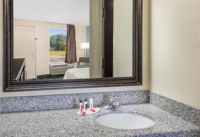 스탠다드 룸 킹사이즈 침대, Days Inn By Wyndham Newberry South Carolina