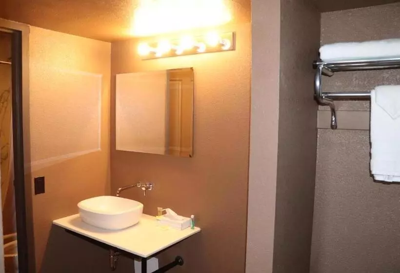 اتاق استاندارد با تخت بزرگ, Historic Cow Palace Inn
