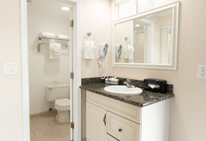 ２ダブルベッドのスタンダードルーム, King Frederik Inn