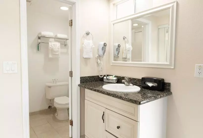 اتاق استاندارد با 2 تخت دوبل, King Frederik Inn