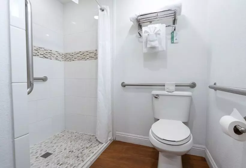 اتاق استاندارد با تخت بزرگ, King Frederik Inn