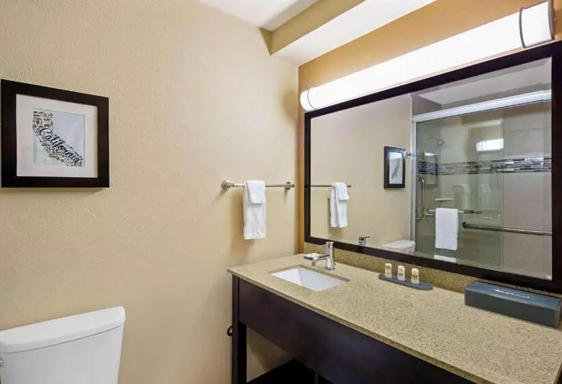 اتاق استاندارد با 2 تخت دوبل, La Quinta Inn By Wyndham Berkeley