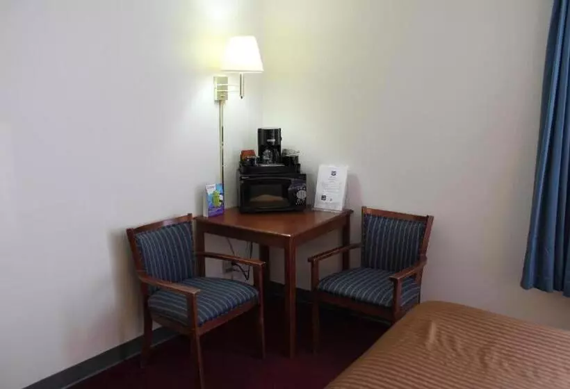 キングサイズベッドのスタンダードルーム, Rodeway Inn