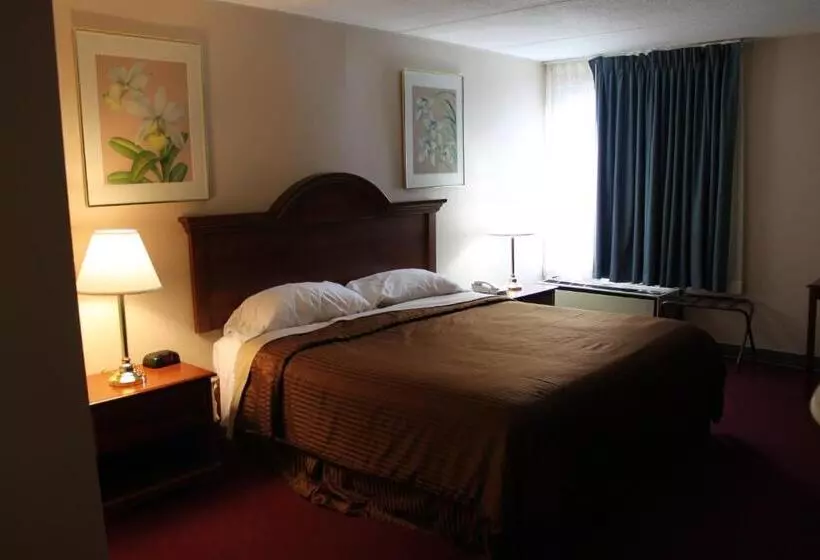 キングサイズベッドのスタンダードルーム, Rodeway Inn