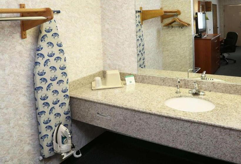 Номер Стандарт, Magnuson Hotel Howell/brighton