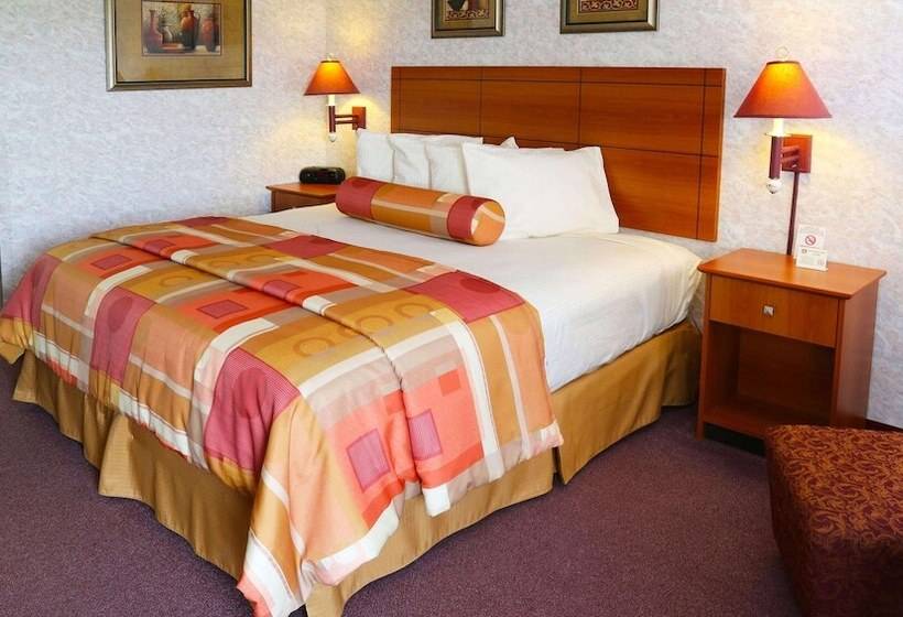 디럭스 룸, Magnuson Hotel Howell/brighton