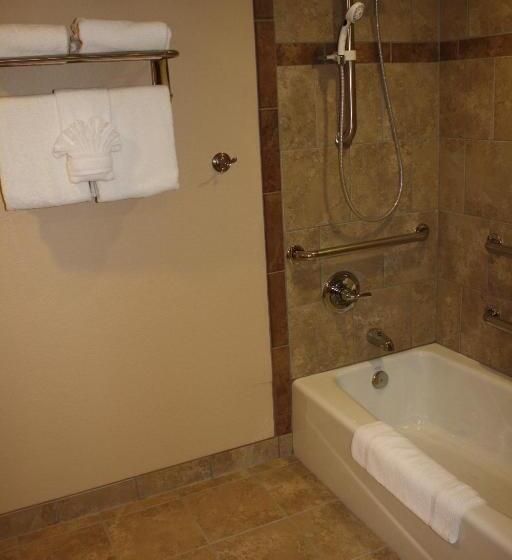 غرفة قياسية لذوى الاحتياجات الخاصة, Osage Creek Lodge