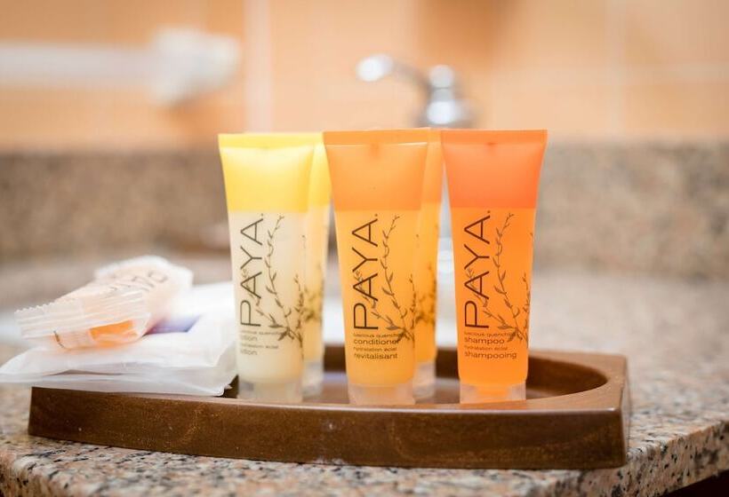 스위트, Sfo El Rancho Inn Surestay Collection By Best Western