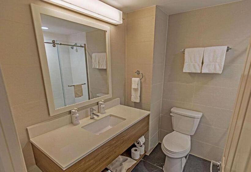 Номер Стандарт Адаптированный для Инвалидов, The Penn Stroud, Stroudsburg Poconos, Ascend Hotel Collection