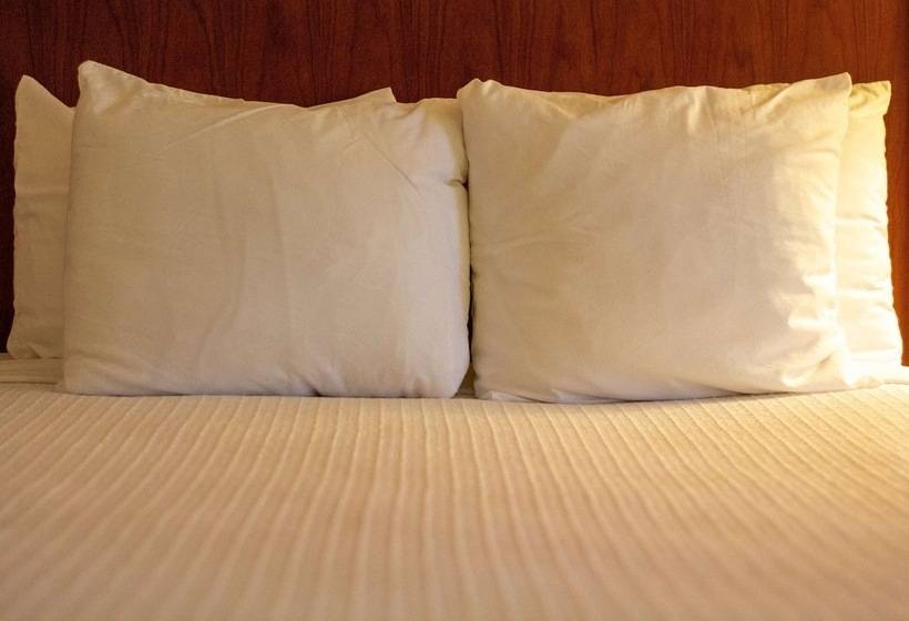 스위트, Best Western Plus A Wayfarer S Inn & Suites