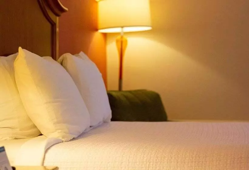 スイート, Best Western Plus A Wayfarer S Inn & Suites