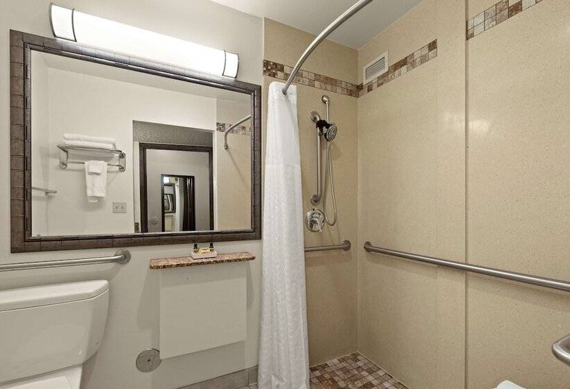 스탠다드 룸 더블 침대, Best Western Plus Tree House