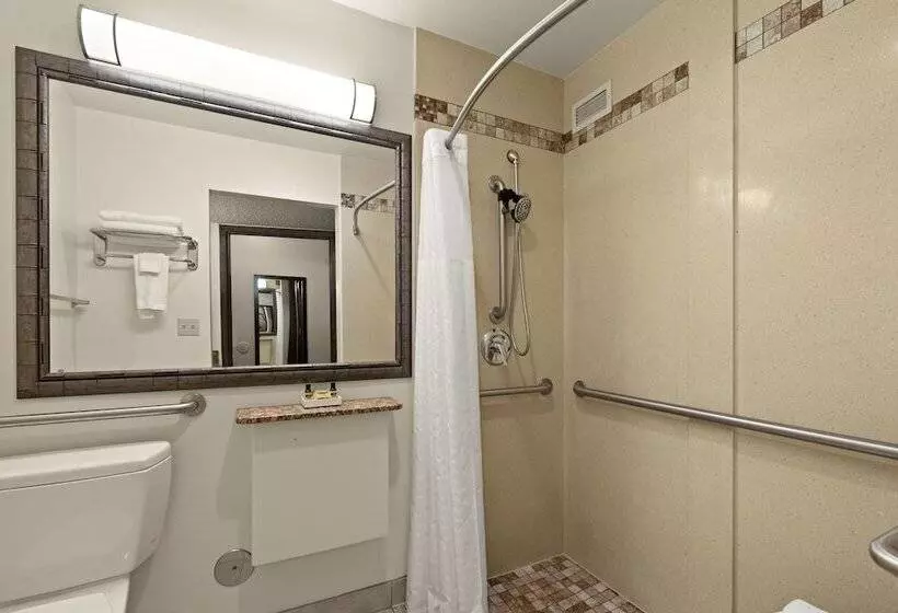 اتاق استاندارد با تخت دوبل, Best Western Plus Tree House