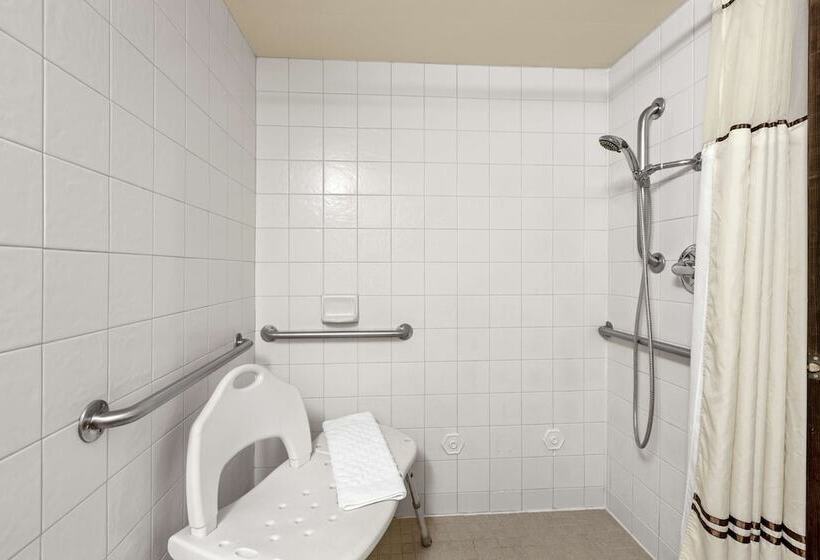 스탠다드 룸 더블 침대, Best Western Plus Tree House