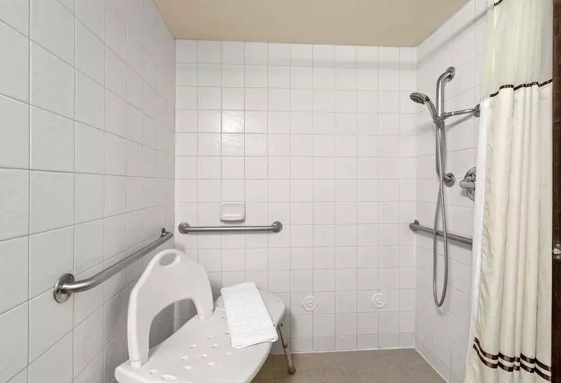 اتاق استاندارد با تخت دوبل, Best Western Plus Tree House