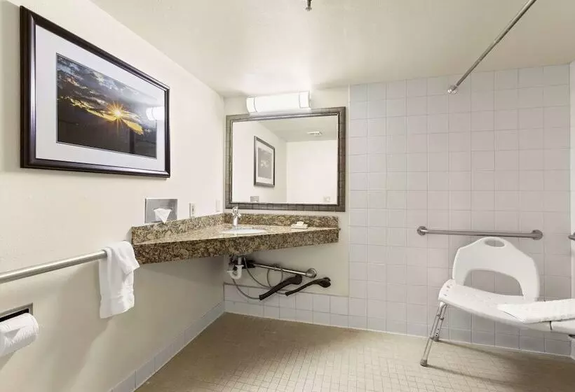 اتاق استاندارد با تخت دوبل, Best Western Plus Tree House