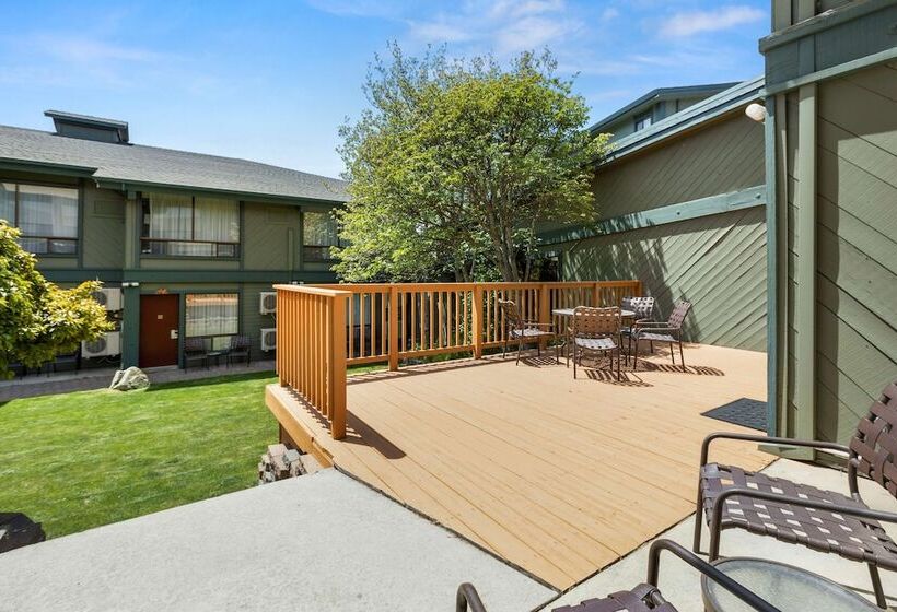 스탠다드 룸 더블 침대, Best Western Plus Tree House