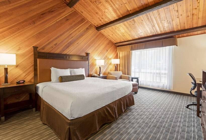 스탠다드 룸 더블 침대, Best Western Plus Tree House