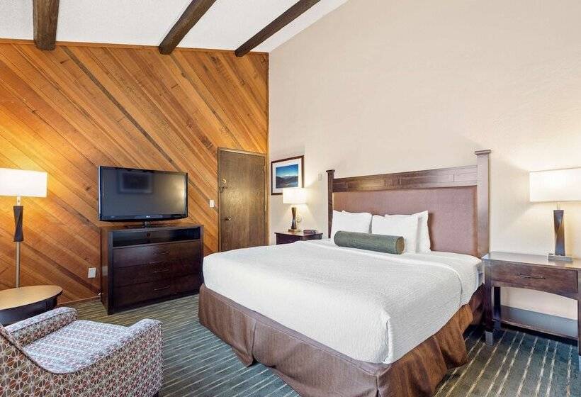 스탠다드 룸 더블 침대, Best Western Plus Tree House