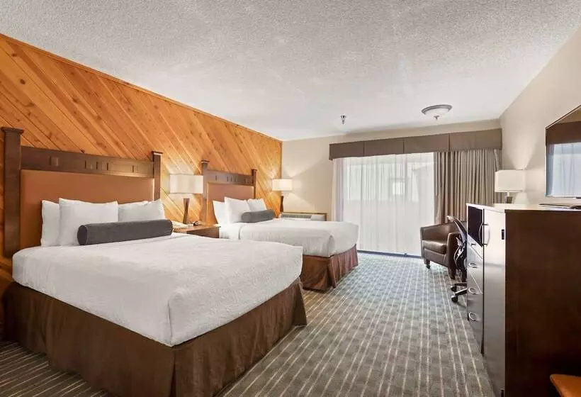 اتاق استاندارد با 2 تخت دوبل, Best Western Plus Tree House