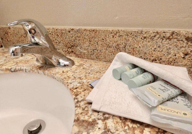 스위트 킹사이즈 침대, Best Western Rancho Grande