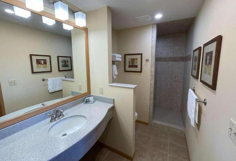 غرفة قياسية سرير كينج, Crossroads Hotel And Event Center