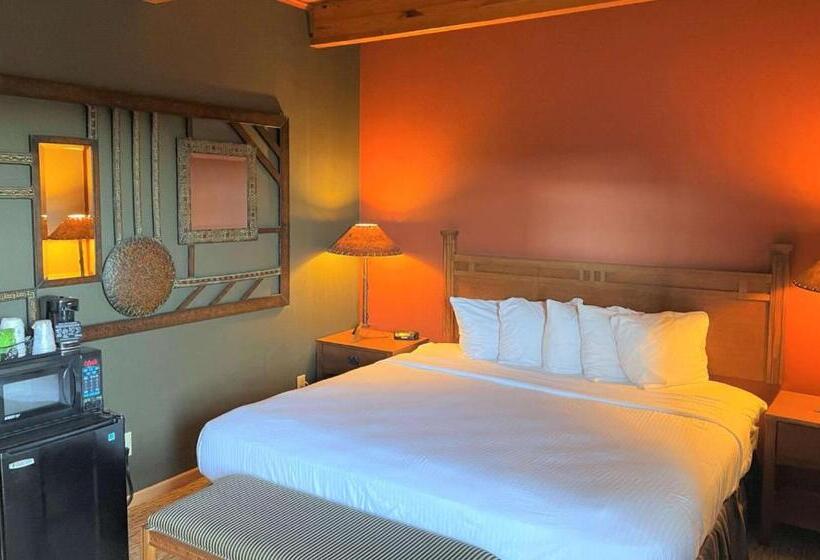 带大床的标准间, Crossroads Hotel And Event Center