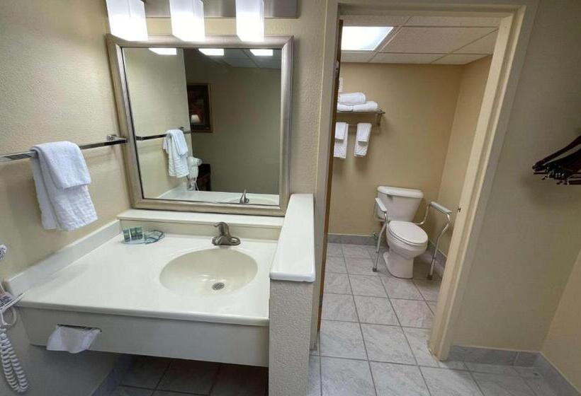 غرفة قياسية سرير ملكى لذوى الإحتياجات الخاصة, Crossroads Hotel And Event Center