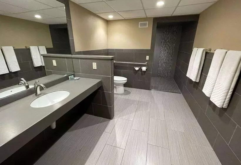 身障者適用スイートルーム, Crossroads Hotel And Event Center