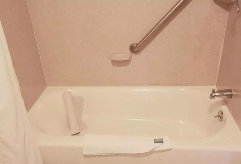 سوئیت با تخت بزرگ, Best Western Surf City