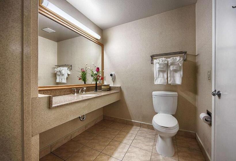 适合残疾人士使用的带超级大床的标准间, Best Western Surf City