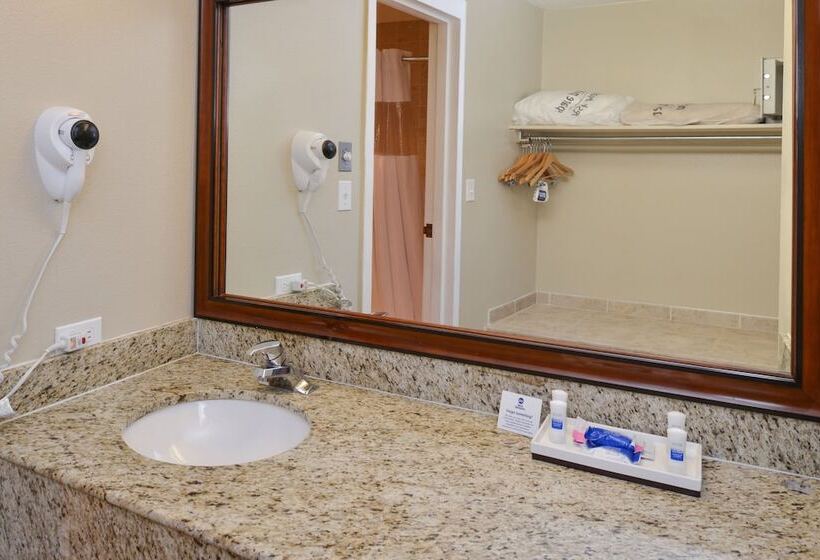 חדר סטנדרט שתי מיטות זוגיות, Best Western University Inn