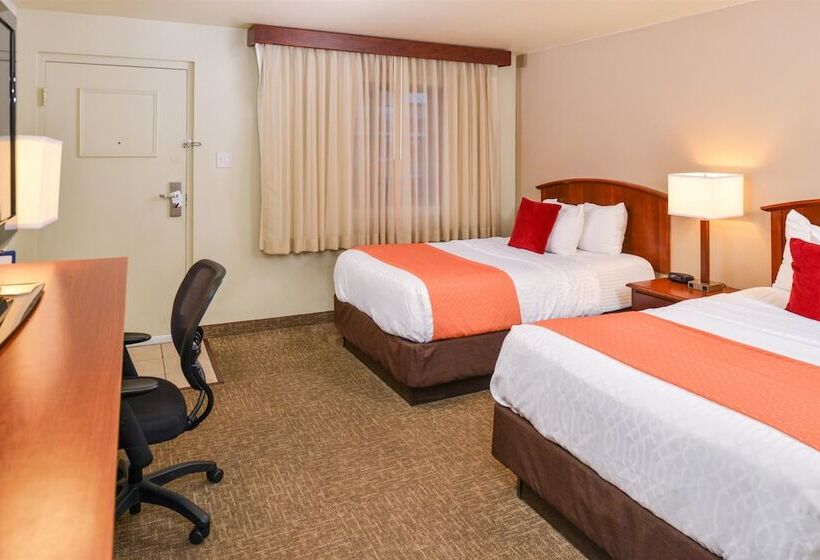 חדר סטנדרט שתי מיטות זוגיות, Best Western University Inn