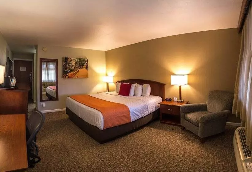 سوییت, Best Western University Inn