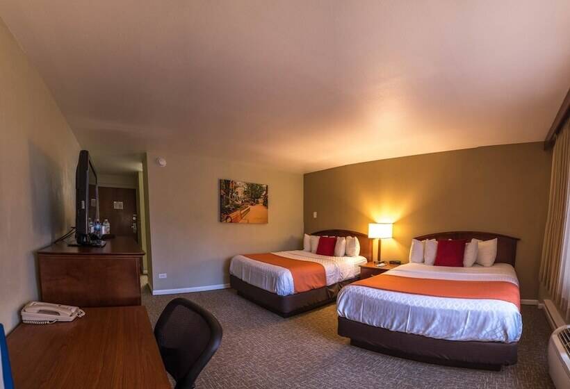 חדר סטנדרט שתי מיטות זוגיות, Best Western University Inn
