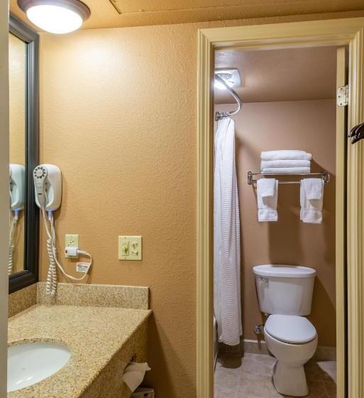 חדר סטנדרט עם מיטת קינג, Best Western Vista Inn At The Airport