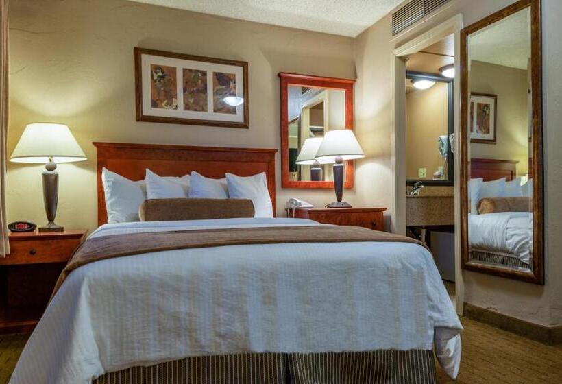 חדר סטנדרט מותאם לאדם עם מוגבלויות, Best Western Vista Inn At The Airport