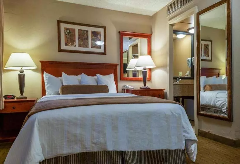 身障者適用スタンダードルーム, Best Western Vista Inn At The Airport