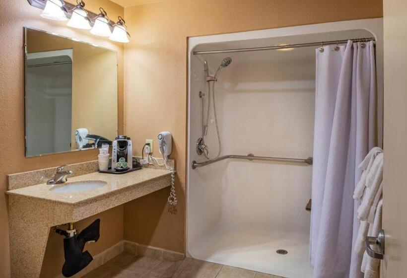 חדר סטנדרט מותאם לאדם עם מוגבלויות, Best Western Vista Inn At The Airport